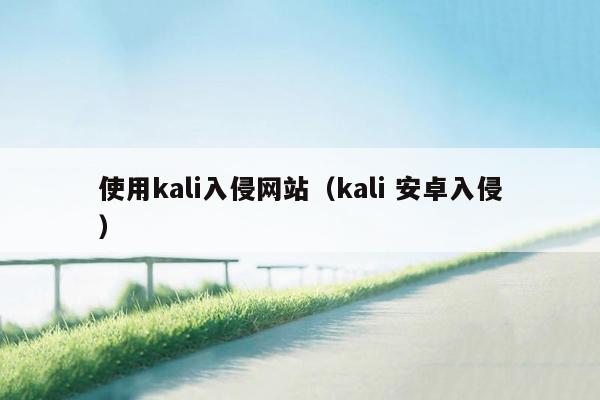 使用kali入侵网站（kali 安卓入侵）