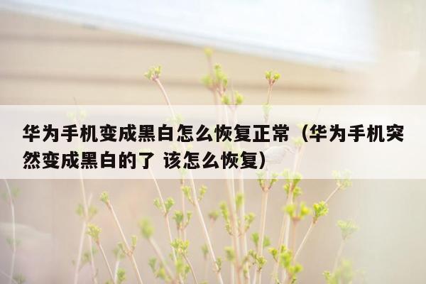 华为手机变成黑白怎么恢复正常（华为手机突然变成黑白的了 该怎么恢复）