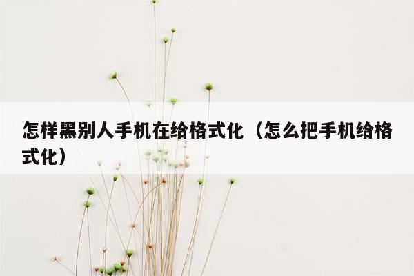 怎样黑别人手机在给格式化（怎么把手机给格式化）