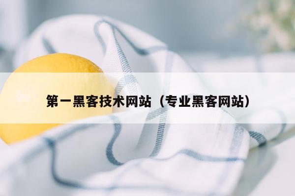 第一黑客技术网站（专业黑客网站）