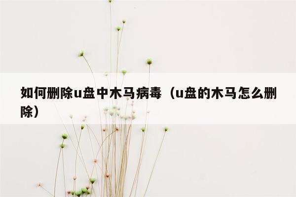 如何删除u盘中木马病毒（u盘的木马怎么删除）