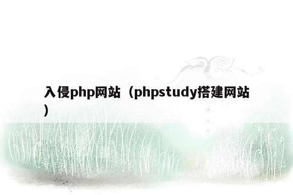 入侵php网站（phpstudy搭建网站）