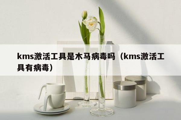 kms激活工具是木马病毒吗（kms激活工具有病毒）