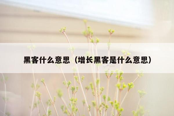 黑客什么意思（增长黑客是什么意思）