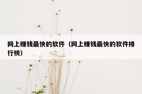 网上赚钱最快的软件（网上赚钱最快的软件排行榜）