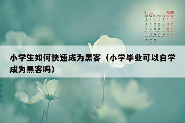 小学生如何快速成为黑客（小学毕业可以自学成为黑客吗）