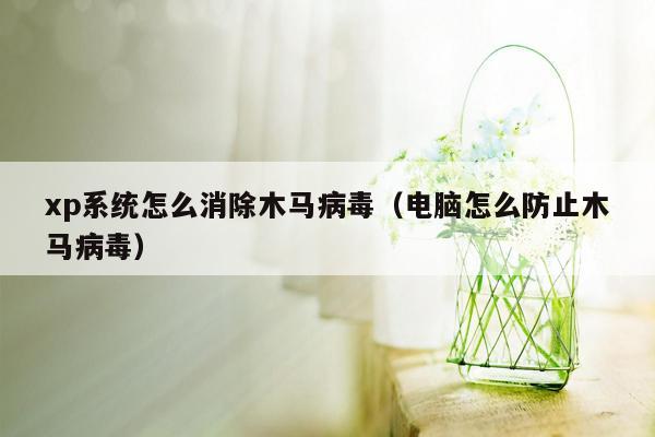 xp系统怎么消除木马病毒（电脑怎么防止木马病毒）