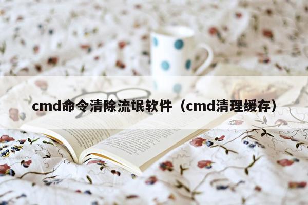 cmd命令清除流氓软件（cmd清理缓存）