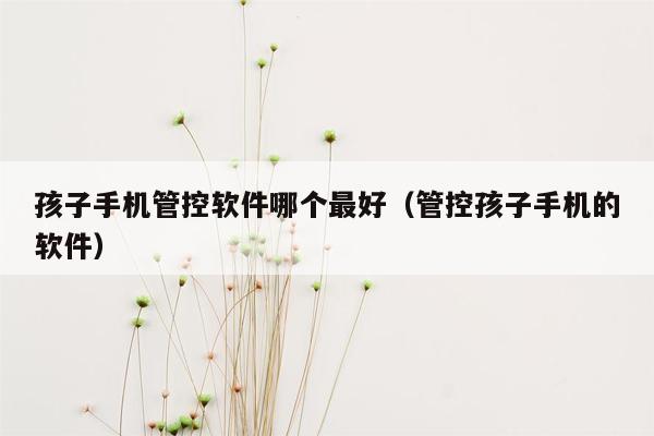 孩子手机管控软件哪个最好（管控孩子手机的软件）