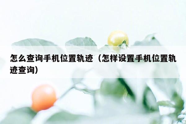 怎么查询手机位置轨迹（怎样设置手机位置轨迹查询）