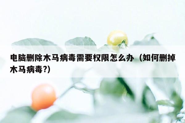 电脑删除木马病毒需要权限怎么办（如何删掉木马病毒?）