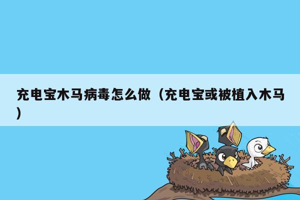 充电宝木马病毒怎么做（充电宝或被植入木马）