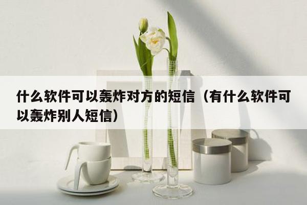 什么软件可以轰炸对方的短信（有什么软件可以轰炸别人短信）