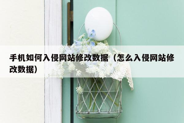 手机如何入侵网站修改数据（怎么入侵网站修改数据）