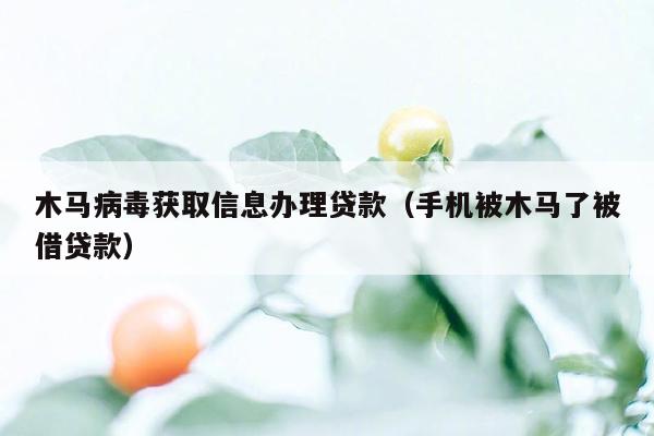 木马病毒获取信息办理贷款（手机被木马了被借贷款）