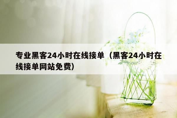 专业黑客24小时在线接单（黑客24小时在线接单网站免费）