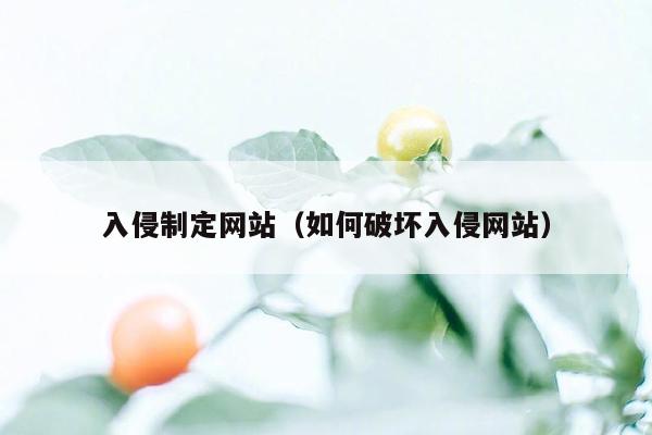 入侵制定网站（如何破坏入侵网站）