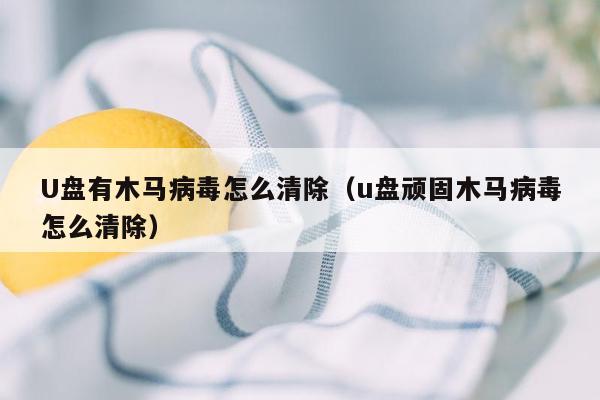 U盘有木马病毒怎么清除（u盘顽固木马病毒怎么清除）