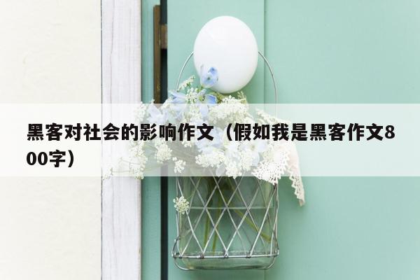 黑客对社会的影响作文（假如我是黑客作文800字）