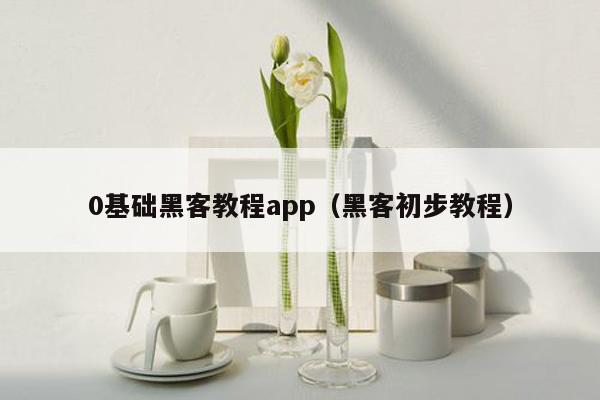 0基础黑客教程app（黑客初步教程）