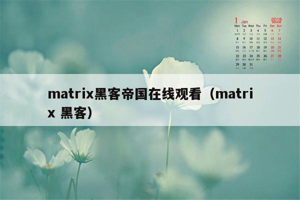 matrix黑客帝国在线观看（matrix 黑客）