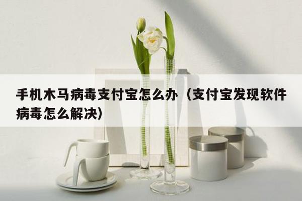 手机木马病毒支付宝怎么办（支付宝发现软件病毒怎么解决）