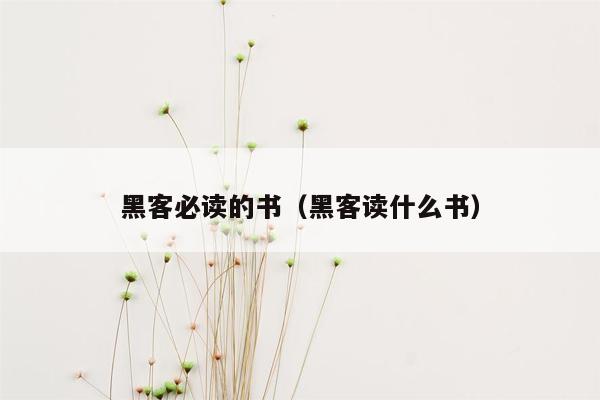 黑客必读的书（黑客读什么书）