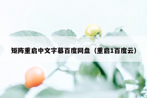 矩阵重启中文字幕百度网盘（重启1百度云）