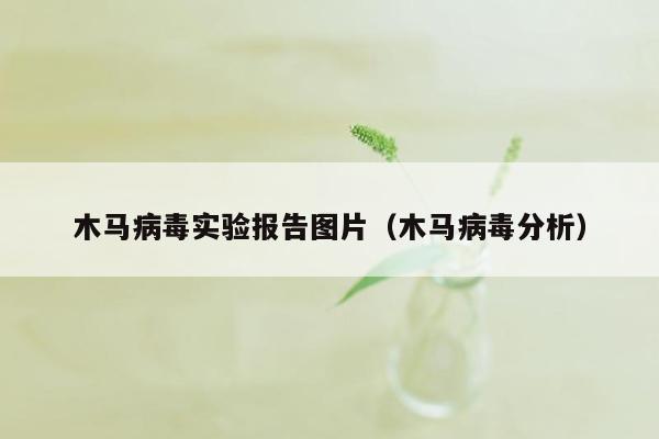 木马病毒实验报告图片（木马病毒分析）