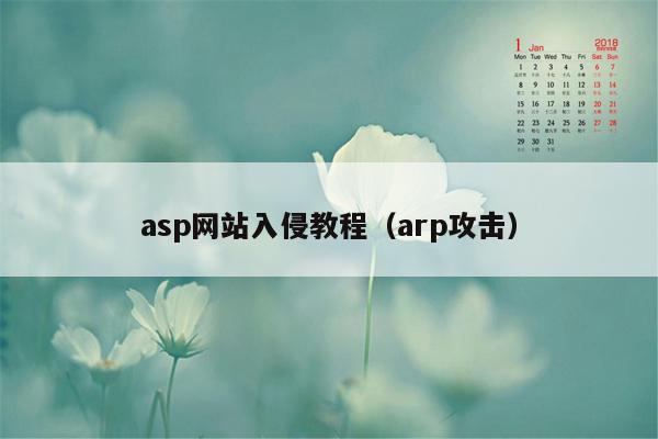 asp网站入侵教程（arp攻击）