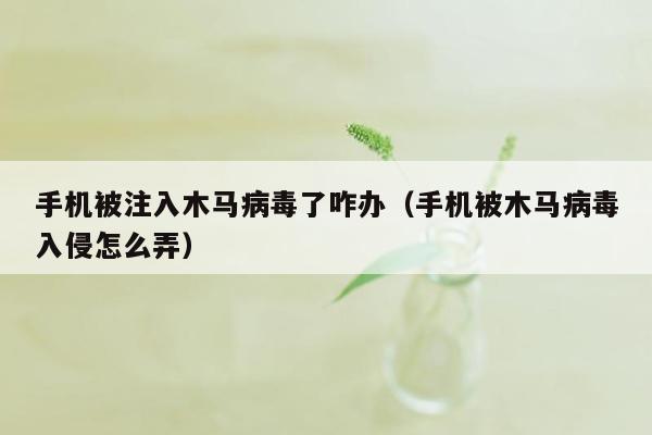 手机被注入木马病毒了咋办（手机被木马病毒入侵怎么弄）