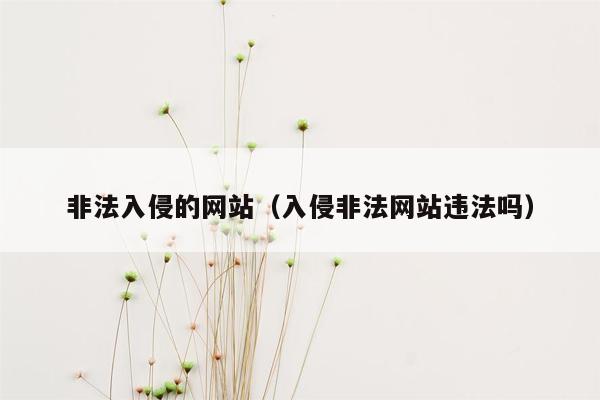 非法入侵的网站（入侵非法网站违法吗）