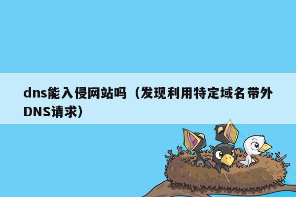 dns能入侵网站吗（发现利用特定域名带外DNS请求）