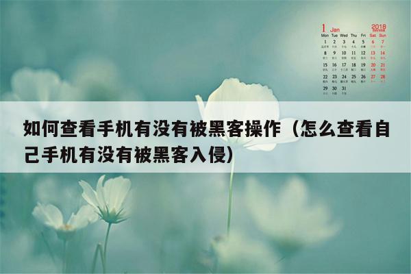 如何查看手机有没有被黑客操作（怎么查看自己手机有没有被黑客入侵）