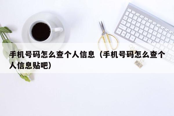 手机号码怎么查个人信息（手机号码怎么查个人信息贴吧）