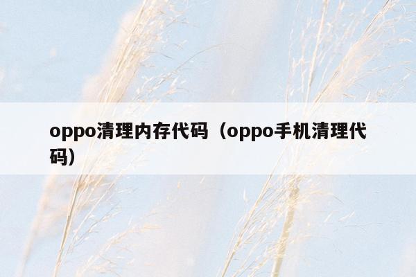 oppo清理内存代码（oppo手机清理代码）