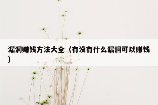 漏洞赚钱方法大全（有没有什么漏洞可以赚钱）