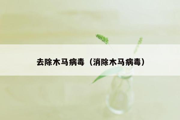 去除木马病毒（消除木马病毒）