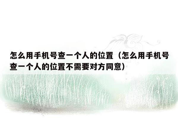 怎么用手机号查一个人的位置（怎么用手机号查一个人的位置不需要对方同意）