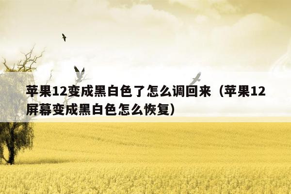 苹果12变成黑白色了怎么调回来（苹果12屏幕变成黑白色怎么恢复）