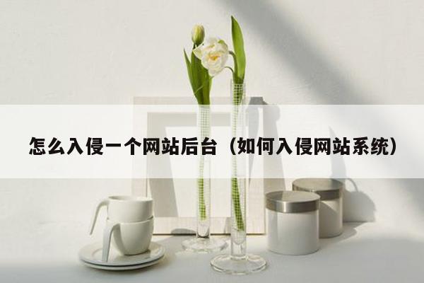 怎么入侵一个网站后台（如何入侵网站系统）