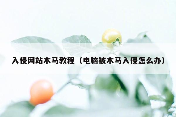 入侵网站木马教程（电脑被木马入侵怎么办）