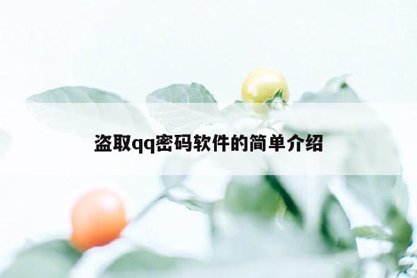 盗取qq密码软件的简单介绍