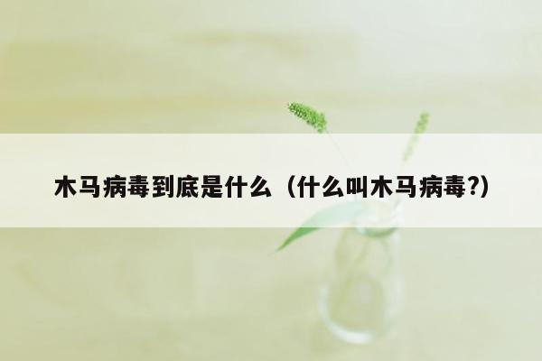 木马病毒到底是什么（什么叫木马病毒?）