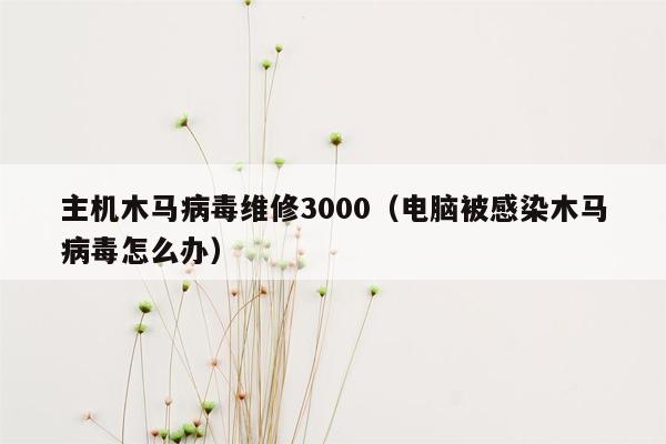 主机木马病毒维修3000（电脑被感染木马病毒怎么办）