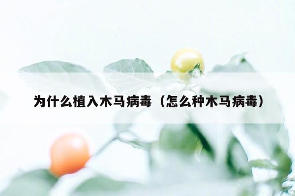 为什么植入木马病毒（怎么种木马病毒）