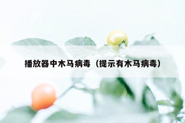 播放器中木马病毒（提示有木马病毒）