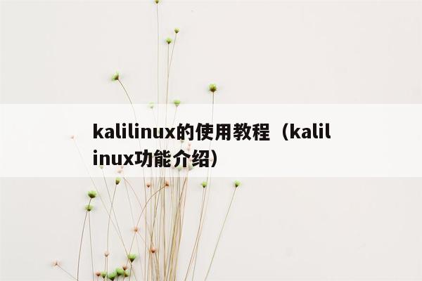 kalilinux的使用教程（kalilinux功能介绍）