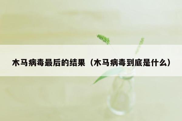 木马病毒最后的结果（木马病毒到底是什么）