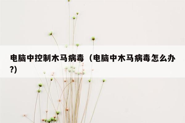 电脑中控制木马病毒（电脑中木马病毒怎么办?）